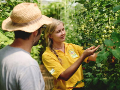 Personen im Glashaus mit Tomaten