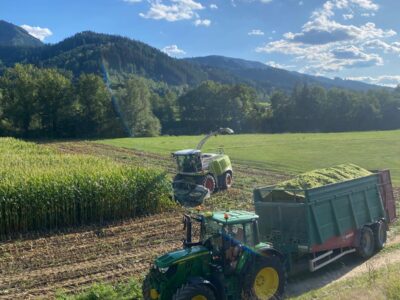 Traktor beim Mais silieren
