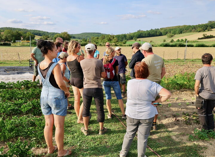Menschen auf Gemüsefeld