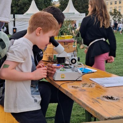 © BIO AUSTRIA NÖ und Wien