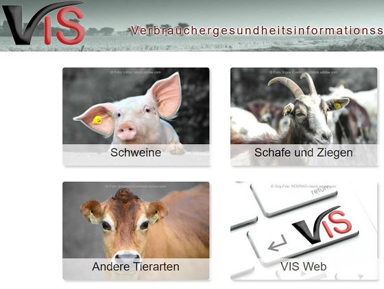 Startseite VIS Portal