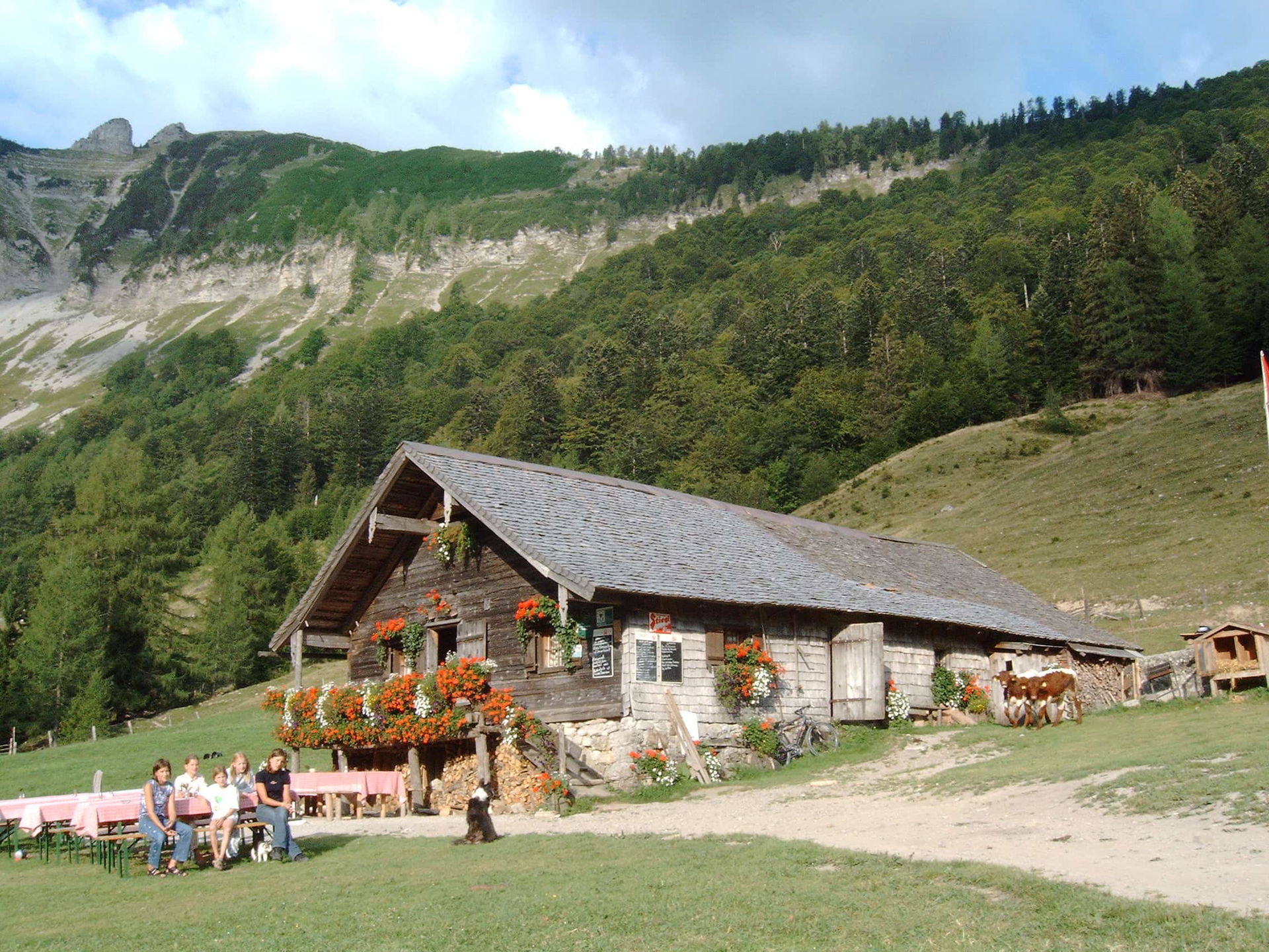 Matieschek Schaubauernhof