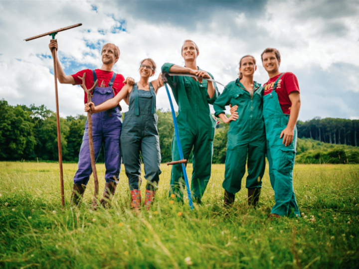 Junge Vertreter der BIO AUSTRIA next generation auf dem Feld mit Rechen