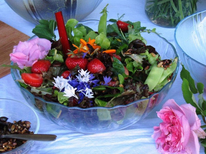 Bunter Blattsalat mit Erdbeeren