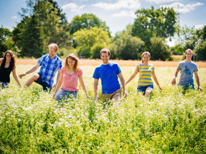 BANG - spazieren auf einer Wiese