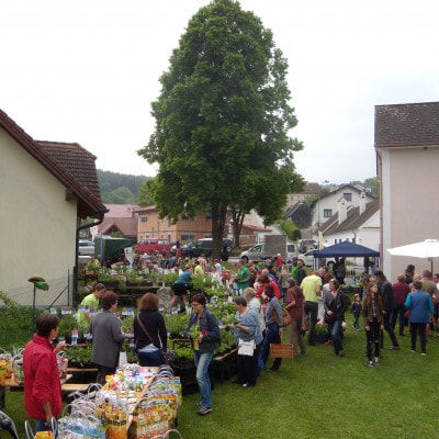 Besucher der Veranstaltung