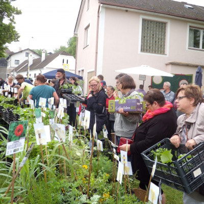 Besucher begutachten die Jungpflanzen