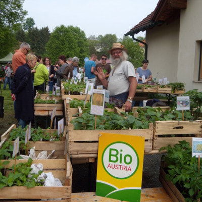 Besucher begutachten die Jungpflanzen