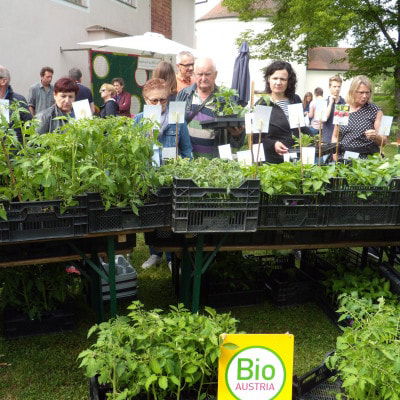 Besucher begutachten die Jungpflanzen