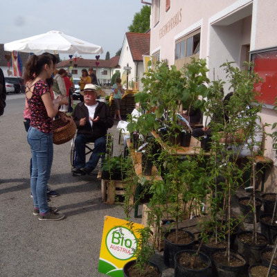 Besucher des Biofestes Langeck