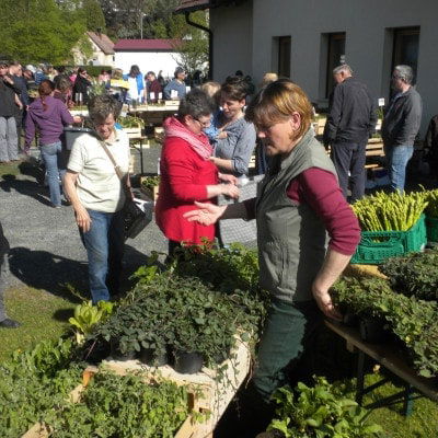 Besucher beim betrachten der Jungpflanzen