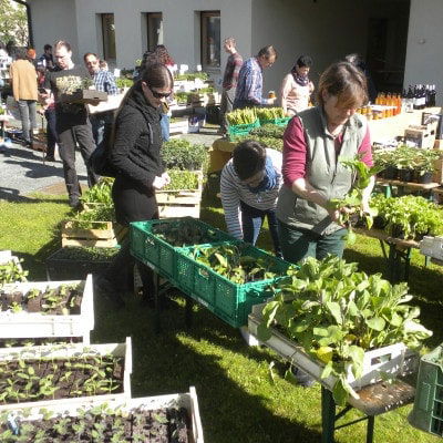 Verkauf der Jungpflanzen am Biofest Langeck 2017