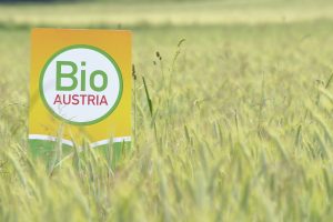 BIO AUSTRIA Logo in einem Getreidefeld