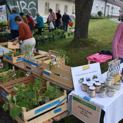 Verkäufer beim Biofest Langeck 2018