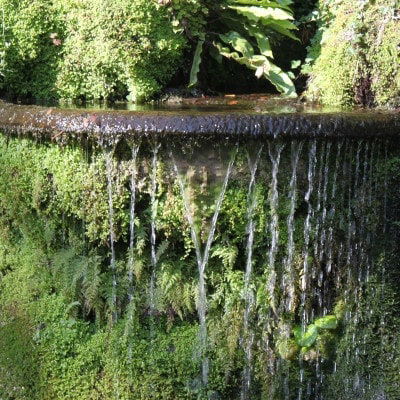 zugewachsener Springbrunnen