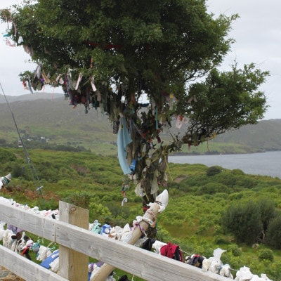 Baum und Zaun umwickelt mit altem Stoff