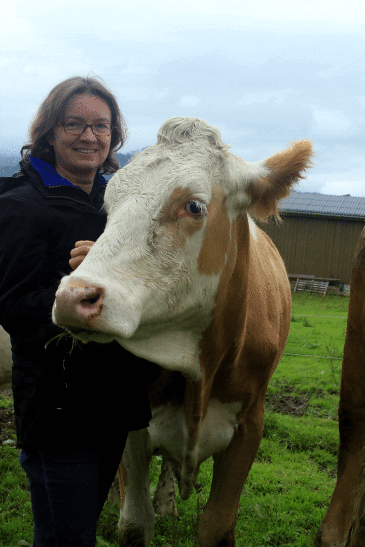 Veronika Edler mit einem Rind