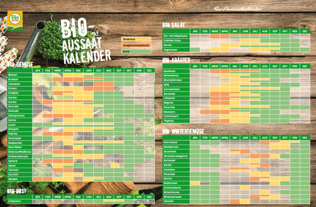 Für alle BioGärtnerinnen Der BioAussaatkalender von BIO AUSTRIA