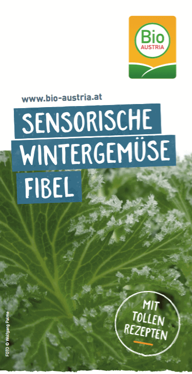 Bild von Drucksorte Sensorische Wintergemuese Fibel.